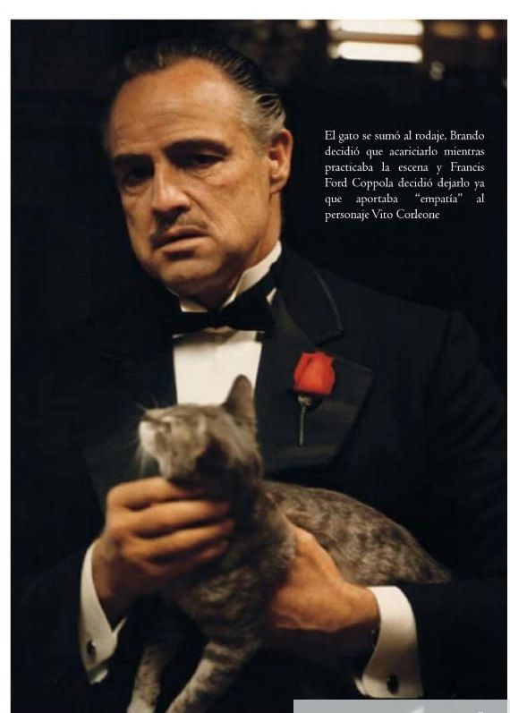 Granjero con gato de película, actor en escena con vestuario clásico y gato de peli.